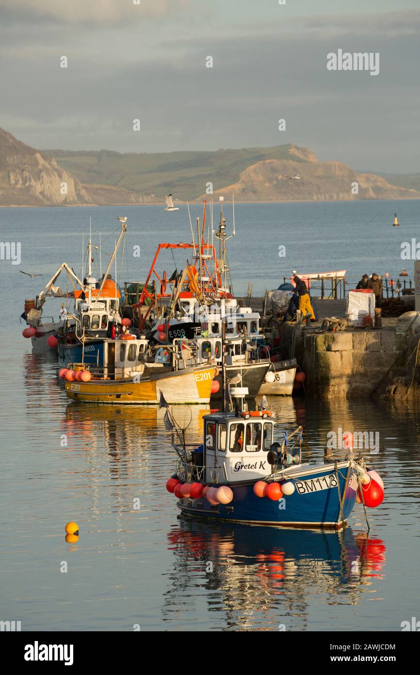 Fishing boats in Lyme Regis Cobb harbour in early February. Lyme Regis