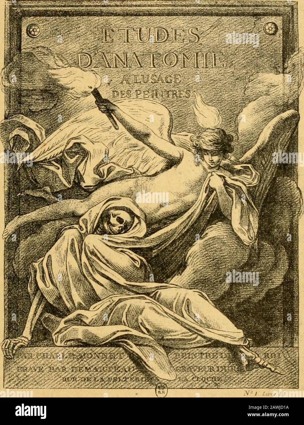 Histoire de l'anatomie plastique : les maitres, les livres et les écorchés . ce quen a dit cet auteur),nous engagea à les reproduire dans la publication déjàsignalée, cest-à-dire dans VAnatomie des maîtres. Cest à propos de cette dernière que lopinion géné-ralement admise fut discutée par M. L. Tréal, profes-seur danatomie artistique à lEcole régionale desbeaux-arts de Rennes dans les circonstances sui-vantes. Ayant trouvé par hasard, chez un bouquiniste,vingt-quatre planches dépareillées faisant partie dunrecueil danatomie artistique dont le titre manquait, etne portant dautre nom que celui Stock Photo