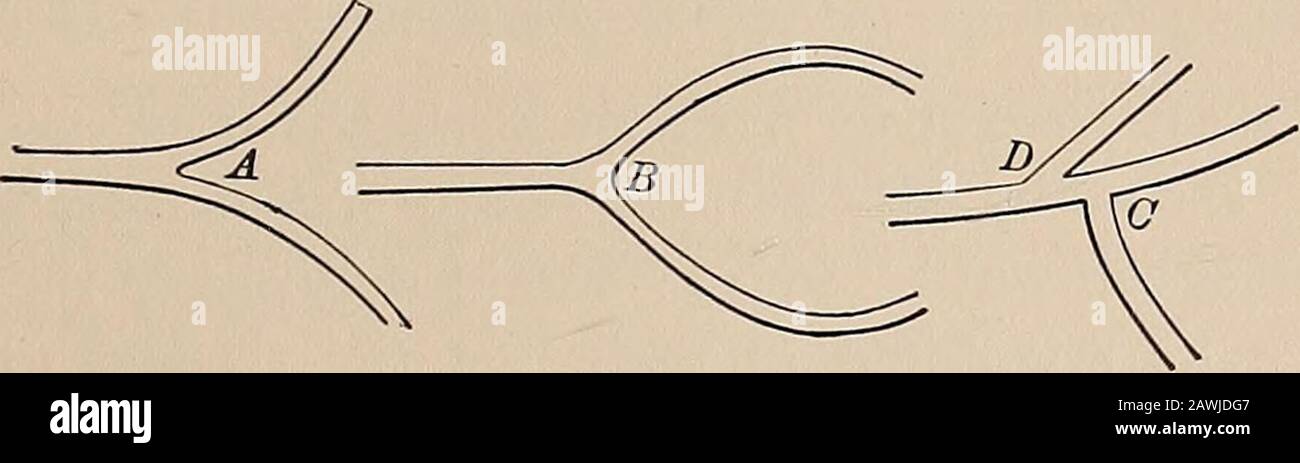 The art of landscape gardening . Fig. 19. Theory and Practice 135 if the road be broader, we should naturally wish to makethe curve bolder by breaking from it, according to thedotted line from a to B in the diagram [Fig. 19]. When two walks separate from each other, it is alwaysdesirable to have them diverge in different directions,as at A [in Fig. 20], rather than give the idea of reunit-ing, as at B.. Fig. 20. Where two walks join each other, it is generally bet-ter that they should meet at right angles, as at c, thanto leave the sharp point, as in the acute angle at d. The most natural cour Stock Photo
