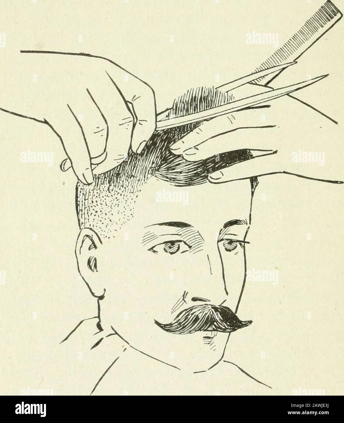 The manual on barbering, hairdressing, manicuring, facial massage ...
