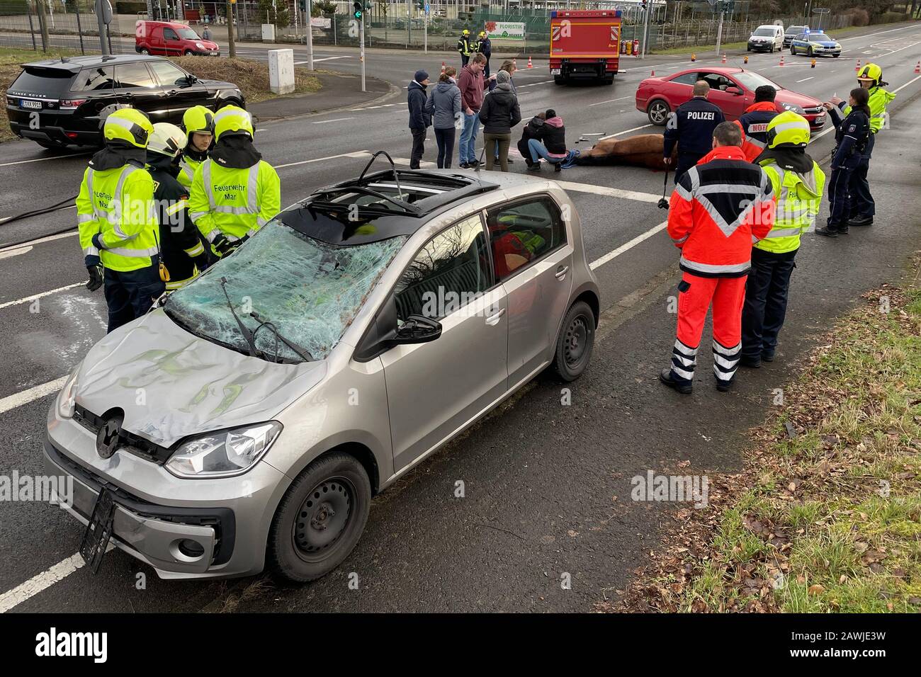 Marl, Germany. 09th Feb, 2020. A damaged car is on the road after a collision with a horse. In the background lies the euthanized horse. A 56 year old driver was injured in a collision with a runaway horse on the federal highway 225 in Marl (Recklinghausen district). The horse had injured itself so badly that it had to be put down by a veterinarian on the spot. (to dpa: 'Car collides with horse - animal dead, driver injured') Credit: Guido Bludau/dpa/Alamy Live News Stock Photo