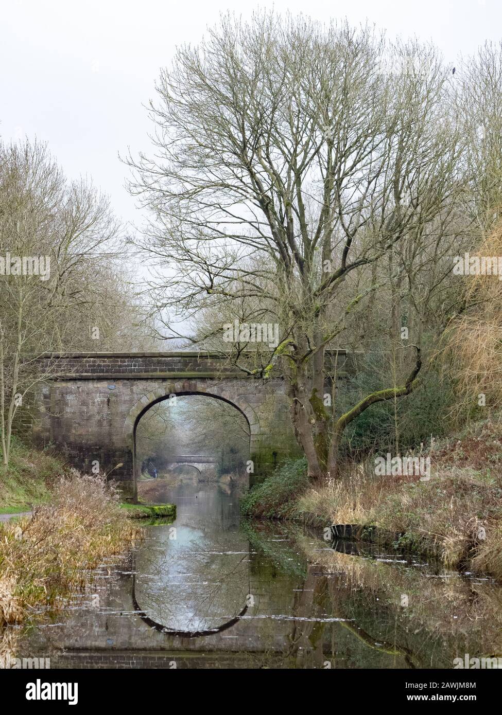 Reflections. Water way landscape, (in portrait), Macclesfield canal ...