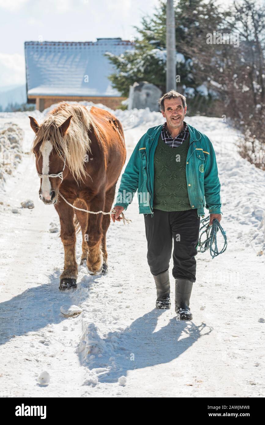 Grashevo village, Rhodopes, Bulgaria - February 8 2020: Old man with his horse walk on street in the Grashevo village, high in winter mountains. Stock Photo