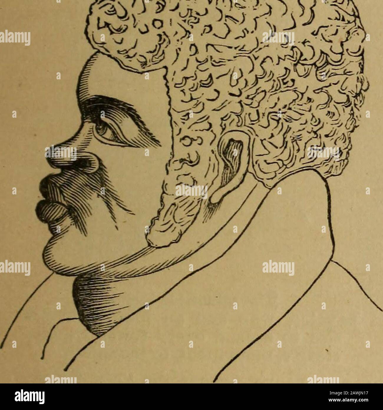 Physiological Chart An original and illustrated physiological and physiognomical chart ...