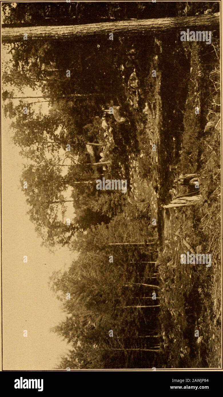 Pennyroyal house hires stock photography and images Alamy