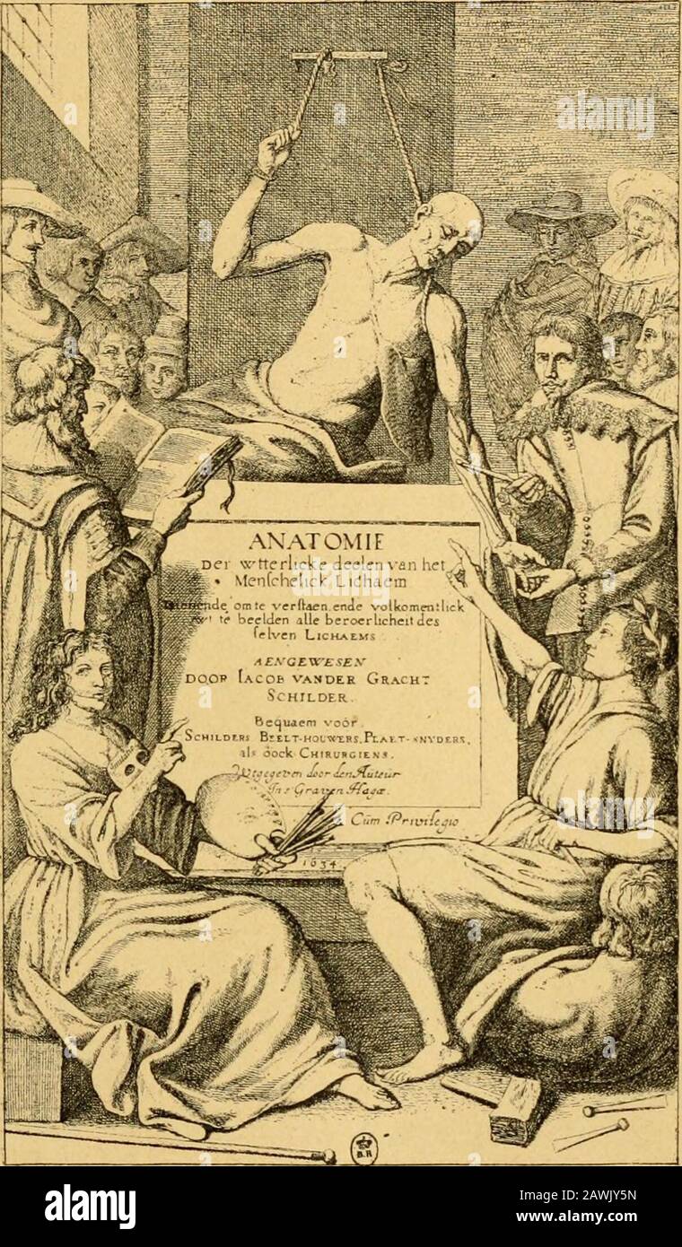 Histoire de l'anatomie plastique : les maitres, les livres et les écorchés . le beioerlicheit des selvenLichaems. Aengemesen door lacob vander GrachtSchilder. Bequaem voor Schilders, Beelt-houwerSyPlaet-snjders. als oock Chirurgiens. In sGravenHagœ, 1634, se trouve un frontispice intéressant(fig. 62), représentant un cadavre attaché au moyendune corde, le membre supérieur gauche disséqué,sur lequel un professeur montre la disposition desmuscles de Tavant-bras à des auditeurs qui Tentourent.Une femme assise, tenant une palette et des brosses dela main gauche, un masque retombant sur la poitri Stock Photo