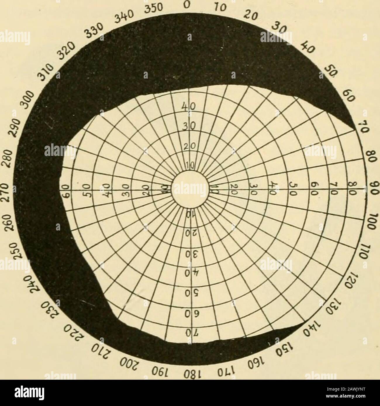 A text-book of physiology for medical students and physicians . s over the top of the verticalrod at the right at a fixed point in the middle of the semicircular bar. The extent and portion of the retina affected may be used to aid inlocating the seat of the lesion. For physiological and for clinicalpurposes it is necessary to distinguish between the central (or direct)and the peripheral (or indirect) fields of vision. The former termis meant to refer to that portion of the field which falls upon thefovea centralis; in other words, it is the projection, in any fixed 336 THE SPECIAL SENSES. pos Stock Photo