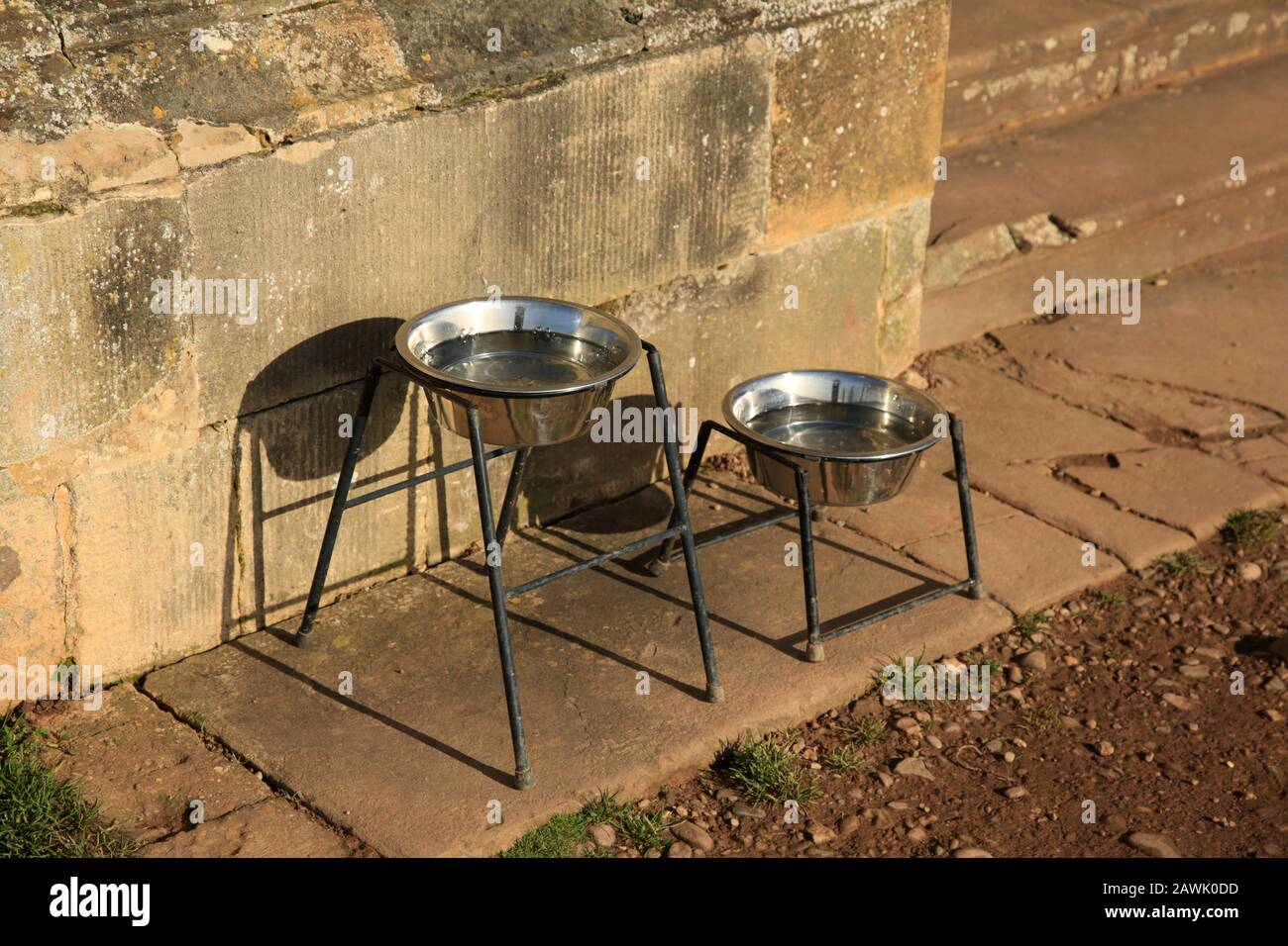 Water bowls provided for Dogs at Croome court, Worcestershire, England, UK. Stock Photo