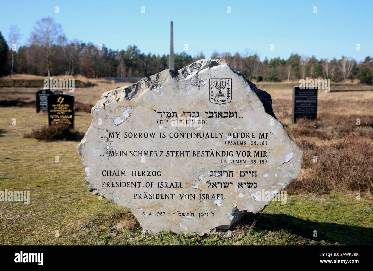 Jewish memorial, Bergen-Belsen concentration camp memorial, Lower Saxony, Germany, Europe Stock Photo