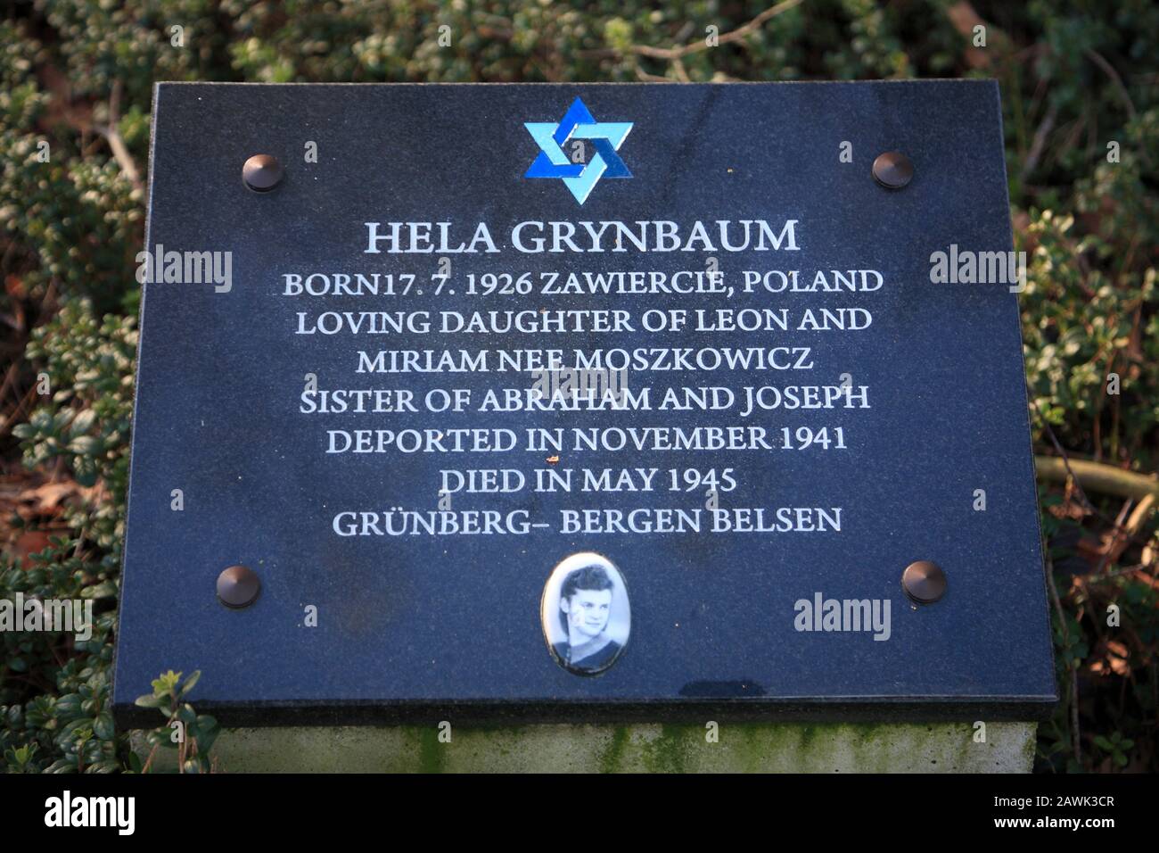 Memorial stones, Bergen-Belsen concentration camp memorial, Lower Saxony, Germany, Europe Stock Photo