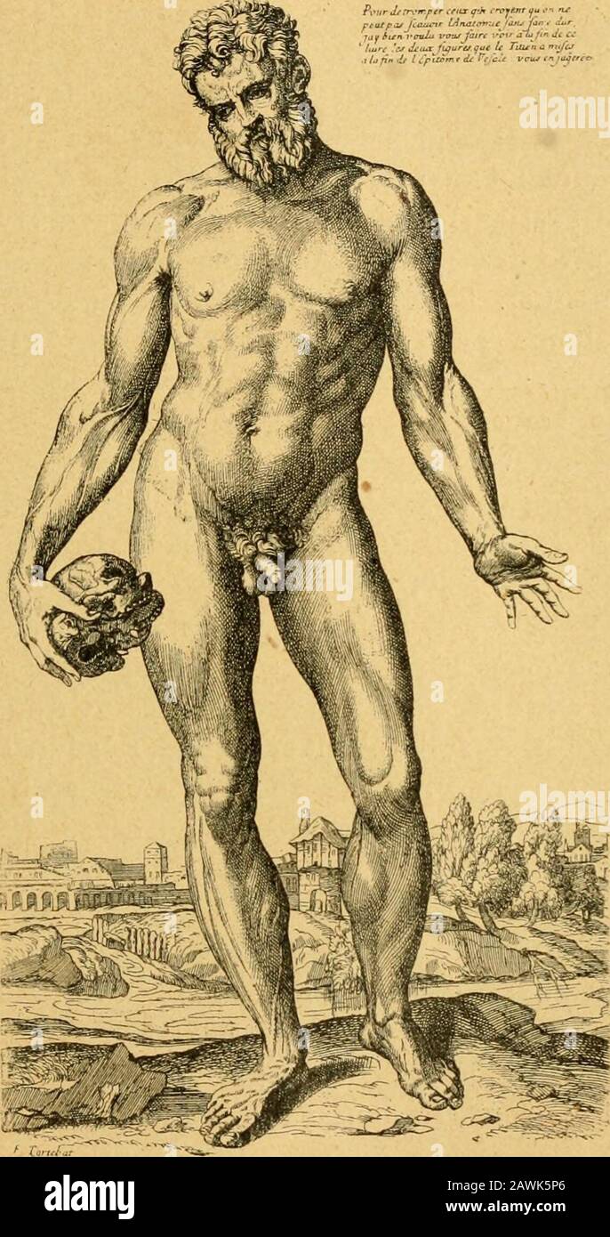 Histoire de l'anatomie plastique : les maitres, les livres et les écorchés . as nécessaire de rechercher les causes réelles du dé-sintéressement momentané de de Piles qui, plus tard,déclara être lauteur du texte dans les lignes suivantesque lui-même a écrites au sujet de lanatomie : « Jenai fait voir lutilité et la nécessité dans la Préface dunpetit Abrégé que jen ai fait, et que Monsieur Tortebata mis en lumière. » (Voir VArt de peinture, de C.-A.Du Fresnoy, Traduit en françois. Enrichi de Remar-ques, revu, corrigé, et qugmenté, Par Monsieur dePiles, 4® édition, Paris, lySi, p. 148.) Mais d Stock Photo
