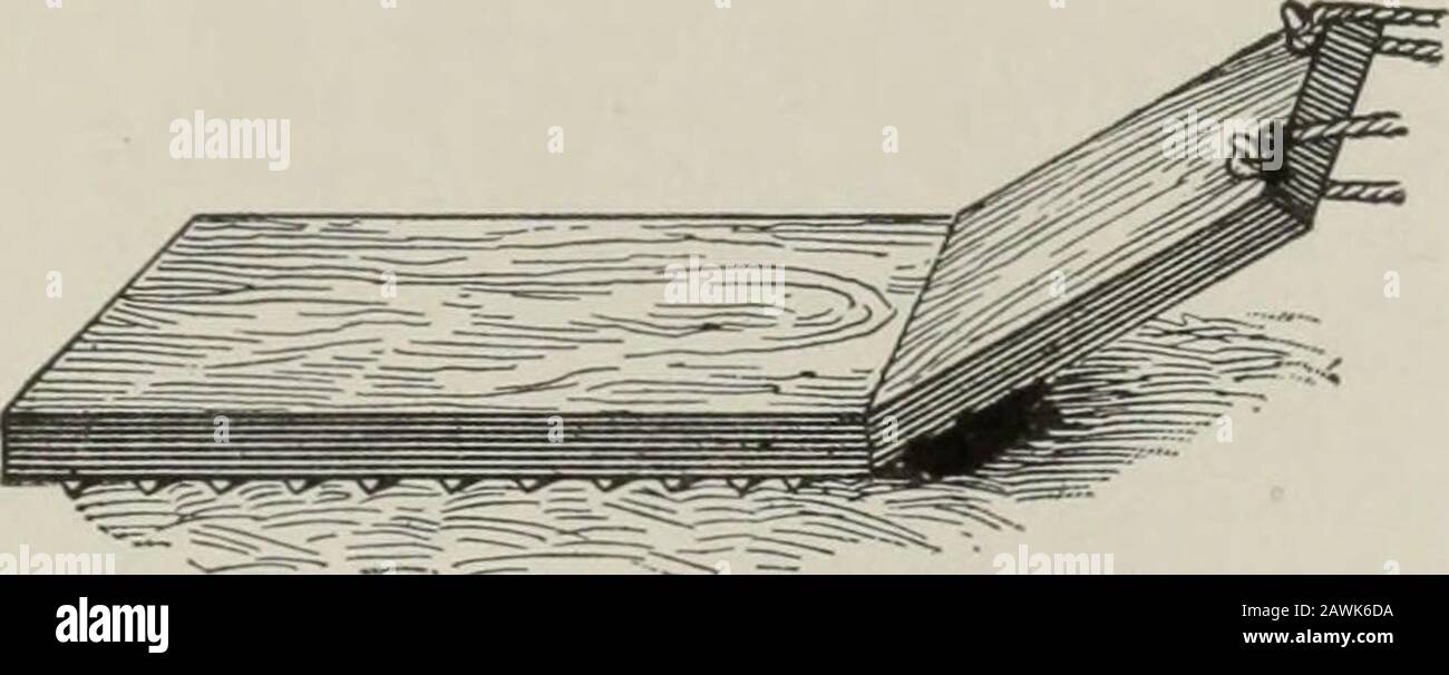 Beatingdown hires stock photography and images Alamy