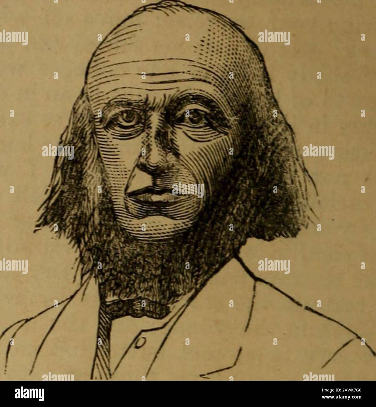 An original and illustrated physiological and physiognomical chart . Brain and Nerve Form small.A licentious and brutal flat head Indianman. of Cape Flattery, WashingtonTerritory, America. Brain and &gt;,erve Form large. Dr Spraker, President of Wittenberg College, at Springfield, Ohio. He has studied, taught, lectured, and preached all his life A. To CuLTRATE THE Braix axd Xerve Form:—Lead an active citylife, if possible; avoid every pursuit that does not keep your mind in themost intense and vigorous action; attend lectures, debates, sermons; readand study several hours dail}^ especiallj- th Stock Photo