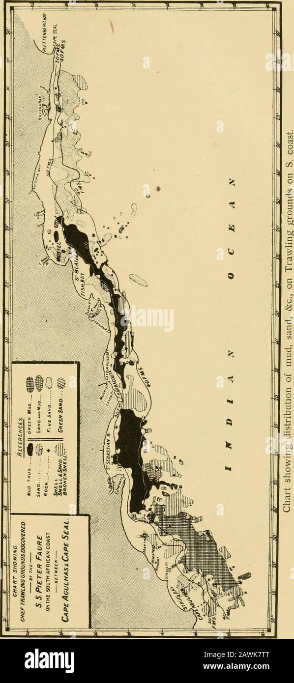 Marine biological report for the year ended ..and the half year ending .. . 5, 16, 18.Pike, 116.Puerulus, 73, 74.Purse-seine nets, 16. Recife, Cape, 21.Ked water, 17. 30.Richard Irvine, 5.River-harder, 86.Rock-cod, loi. Saldanha Bay, 37. Sargus capensis, 96. Sardines, 13, 26. Scaring of fish, 83. Scylliorhinus punctatus, 129. Seals, 14. Seal Island, 13, 14. Sea-harder, 86. Selene gibbiceps, 130. Snake Mackerel, 126. Snoek, 8, 116. Snoek eggs, 124, Soles, 23. Spratteloides aestuarius, 81. Springer-dikkop, 85, Springer-harder, 85.Spawn, 17,Star of the South, 5.St. Helenas Bay, 37.Steenje, 94 Ste Stock Photo
