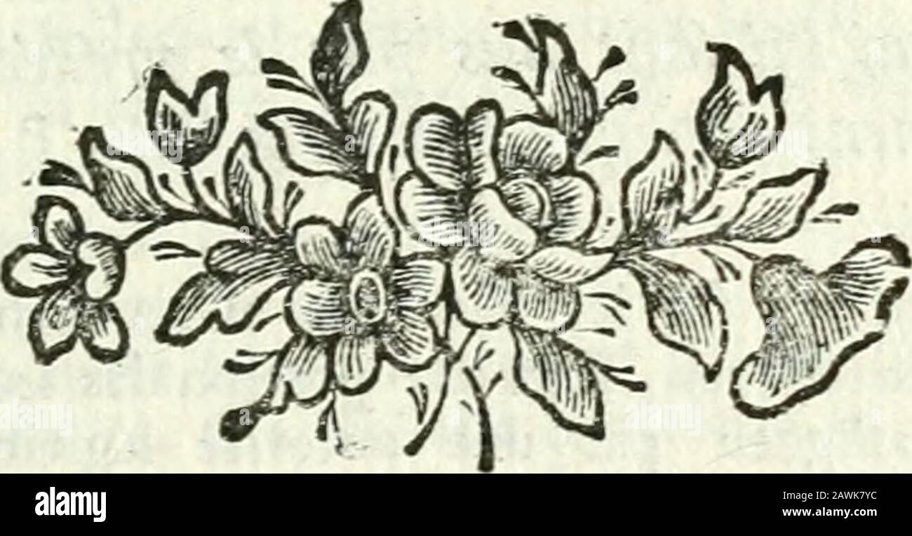 Conférences ecclésiastiques du diocèse d'Angers : tenues dans les années 1709 à 1760 et les suivantes . ffion des bénéfices permu-tés dans le temps déterminé par la règle De publi-candis rejignationibus ; autrement les coUateurs nepeuvent difpofer , H les copermutans ont manquéà prendre pofieirion : cela eft porté par larticle it Jiir les Bénéfices, 173 de lédit des infinuations , de 1691. Suivant la ju.rifprudence du parlement de Paris , fondée fur lé-dit de 1637, la déclaration de 1^46. 8c la décla-ration du II. Mai 1684, dont nous avons rapportéles termes au commencement de cette queftion , Stock Photo
