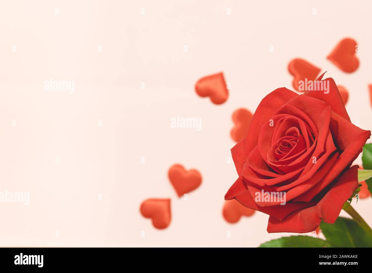 Valentine's day background,Red rose with red hearts Stock Photo - Alamy