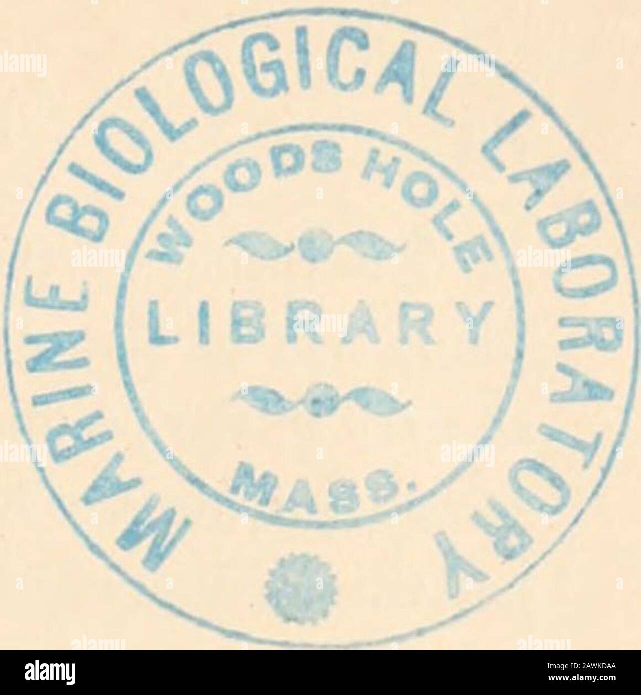 Text Book Of Comparative Anatomy Sentences And Of Rearranging Their Contents Into Readableenglish We Have Endeavoured To Steer A Middle Course Betweenthe Too Free Use Of Periphrases Which Suits The German Style