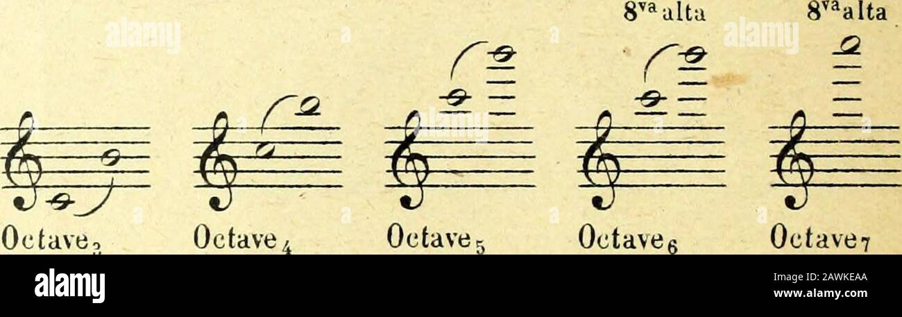 Nouveau traité d'instrumentation . , so/3,etc. Le point de départ de ce mode de numérotage est Xut correspondant a lacorde la plus grave du violoncelle: cétait anciennement la Couche la plus grave du clavier.Loctave qui sétend immédiatement au grave de cet ut porte lindice —, (cest-a-dire moinsun); enfin la dernière octave au bas de léchelle générale est désignée par —, (moins deux).Le son par lequel se termine à laigu chaque octave, étant en même temps le son initial deloctave immédiatement supérieure, nest pas compté. Octave —i Octave — ! Octavet Octave 2 j2  W=^ 5ESEE ^E= 3^ —^3 -73 — 7T 8v Stock Photo
