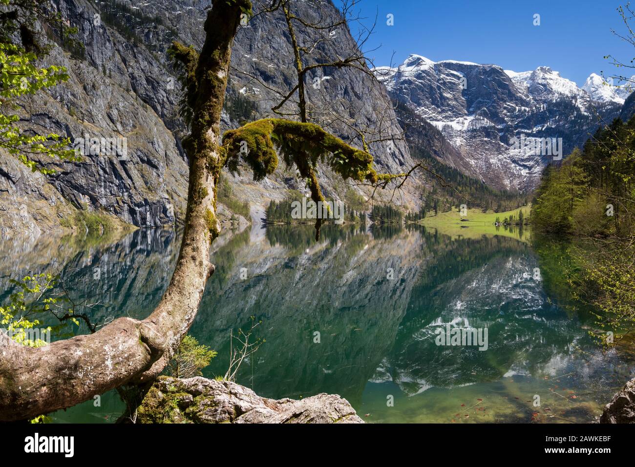 Beautiful refelctions at Lake Obersee, Berchtesgadener Land, Bavaria, Germany Stock Photo