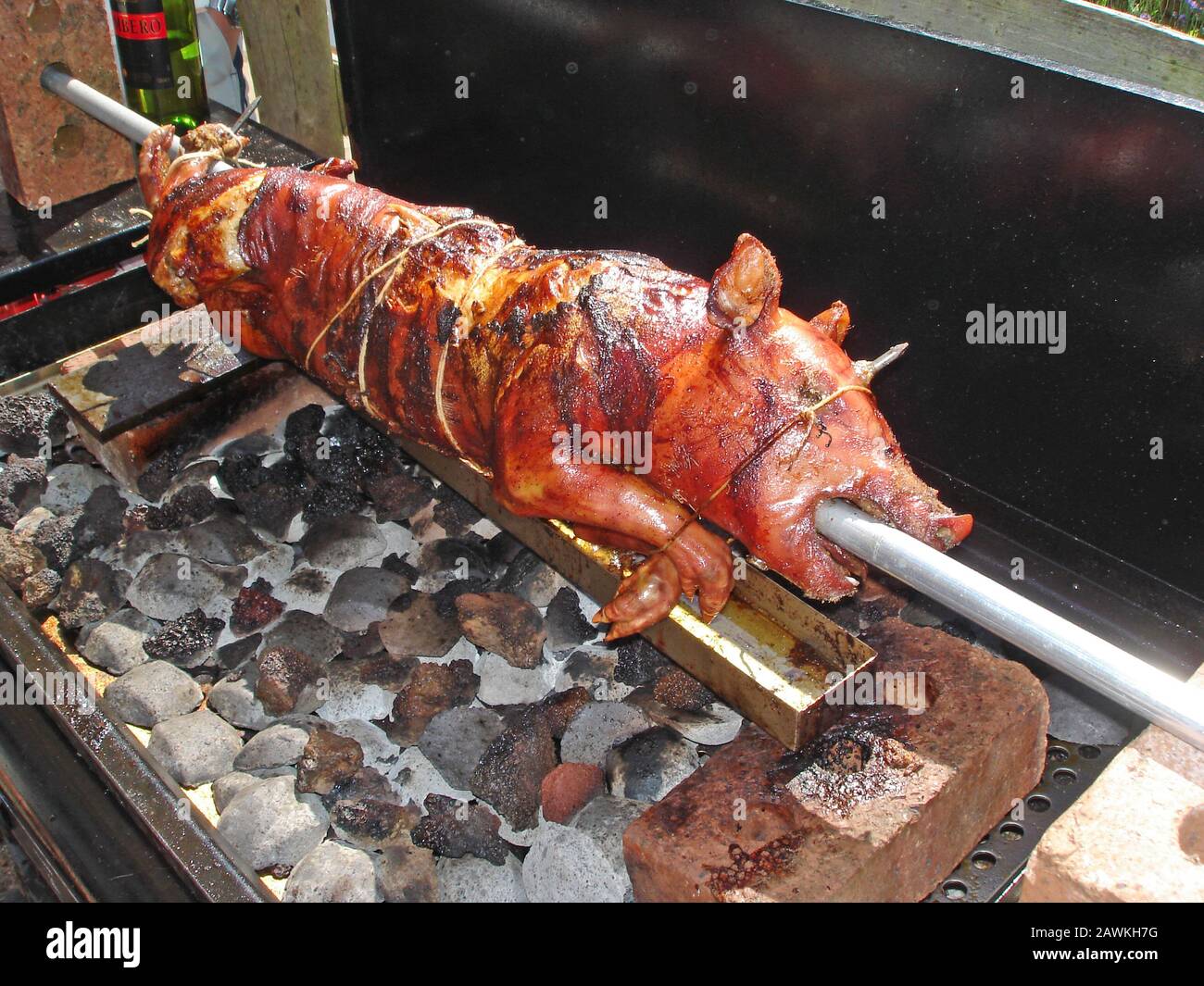 Suckling pig on a hog roast roasting on a spit over coals on a barbecue Stock Photo