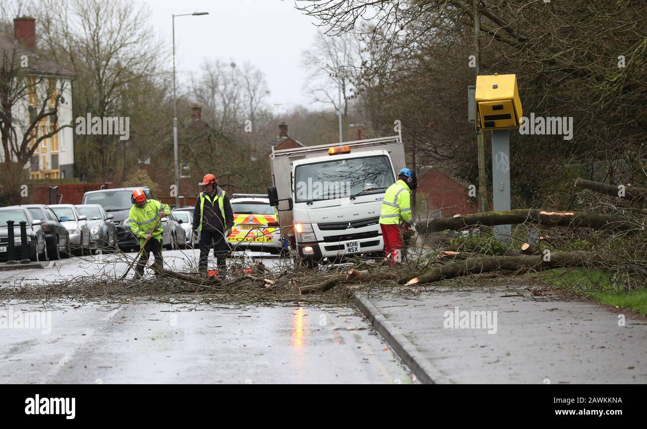 Workmen clear up after tree fell on speed camera and damaged it on The Meadway in Tilehurst, Reading as Storm Ciara hits the UK. Stock Photo