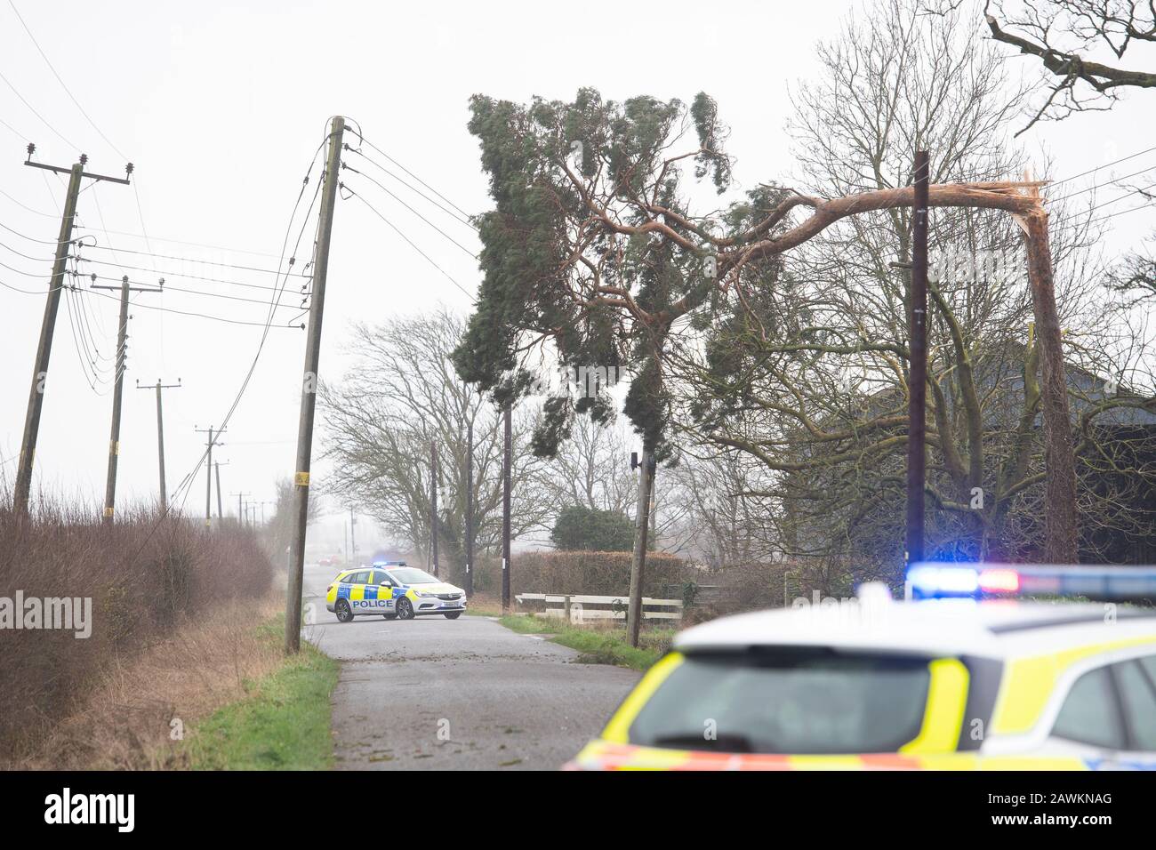 Fallen tree on power lines hi-res stock photography and images - Alamy