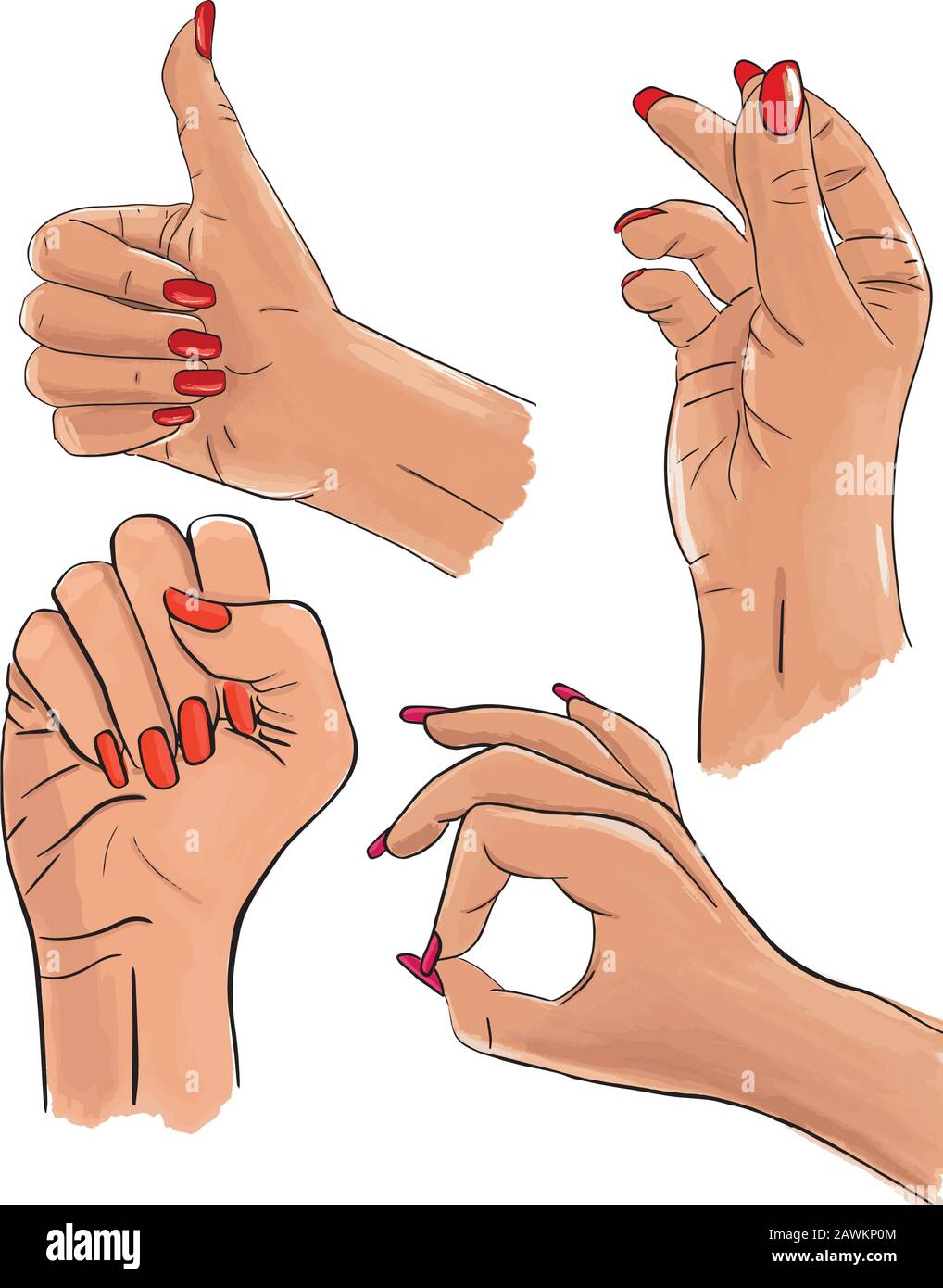 Vector set of female hands and gestures. Woman hand collection Stock