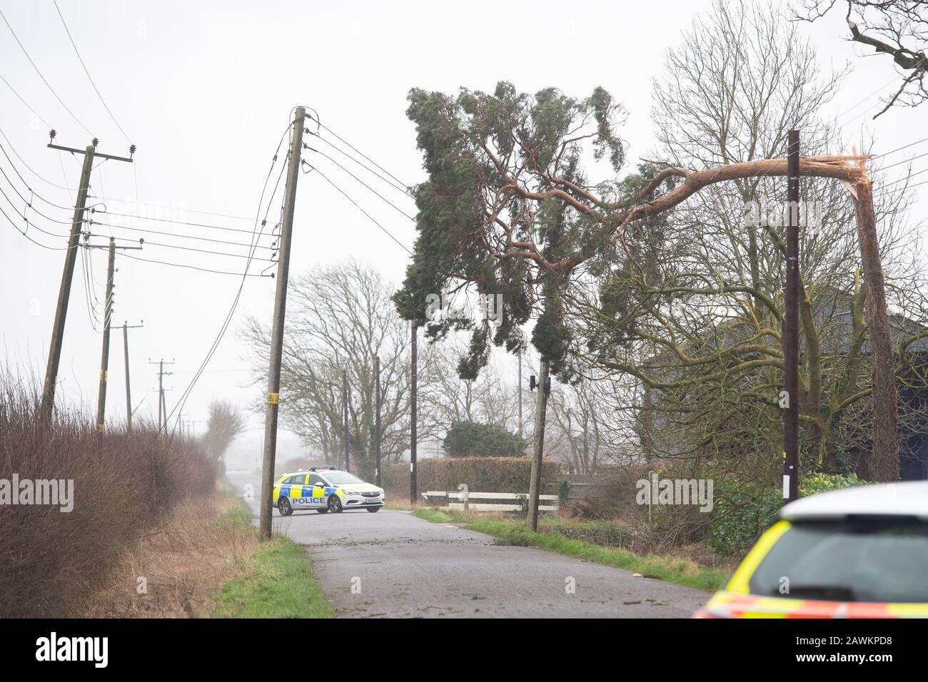 A fallen tree on power lines in Newborough near Peterborough, as Storm