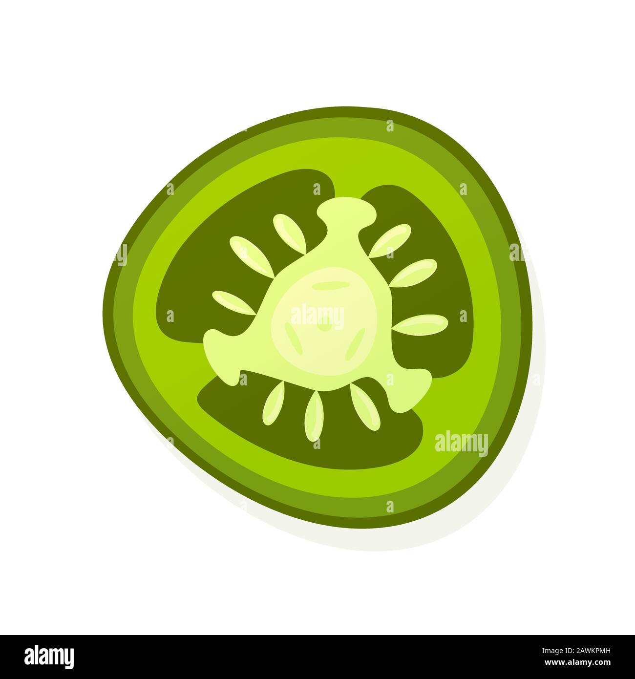 Sliced jalapeno pepper isolated on white. Juicy ripe green pepper