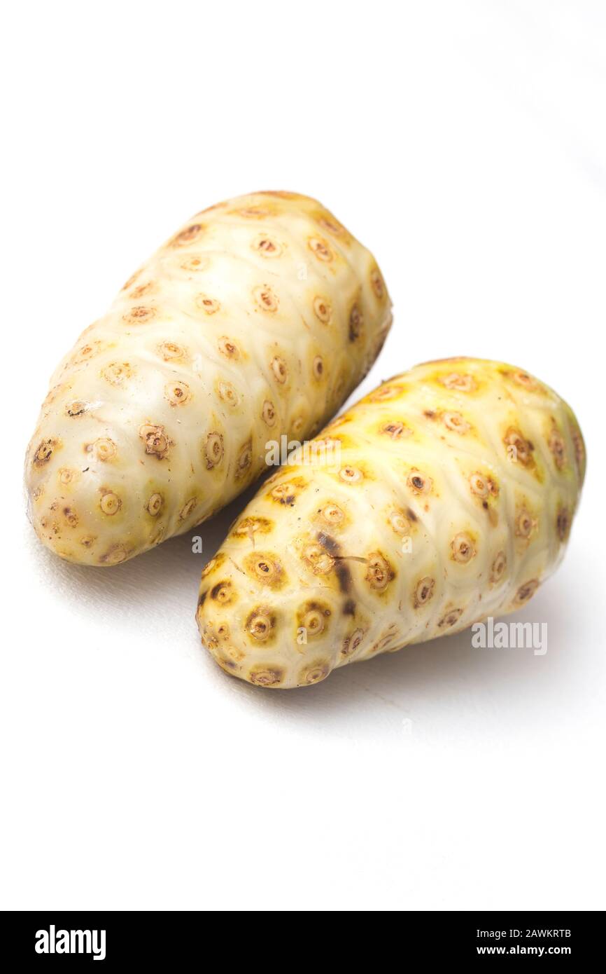Noni or Morinda Citrifolia fruits isolated on white background (Rubiaceae Noni, great morinda, indian mulberry, beach mulberry, cheese fruit, Gentiana Stock Photo