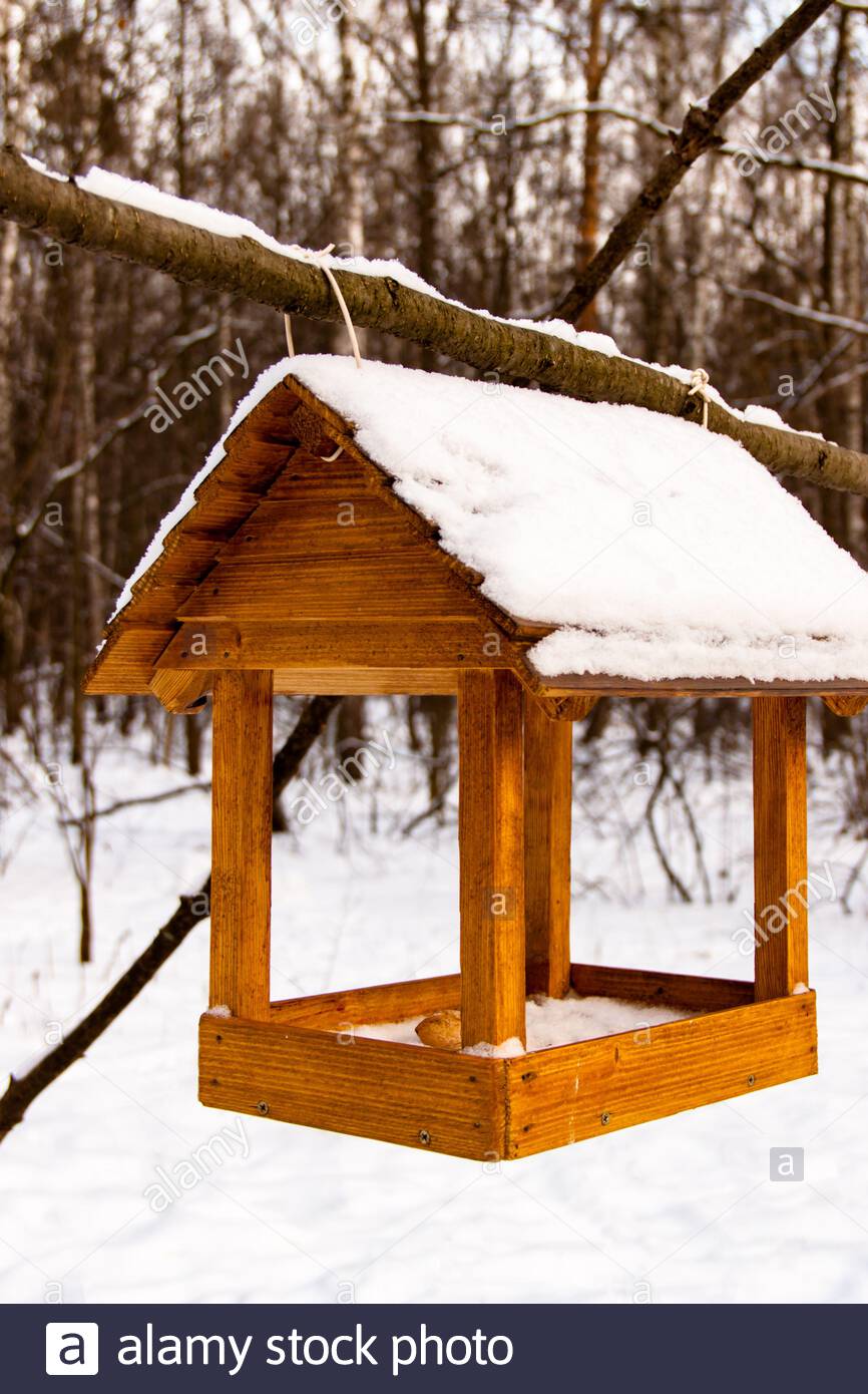 Homemade Bird Feeder Stock Photos Homemade Bird Feeder Stock