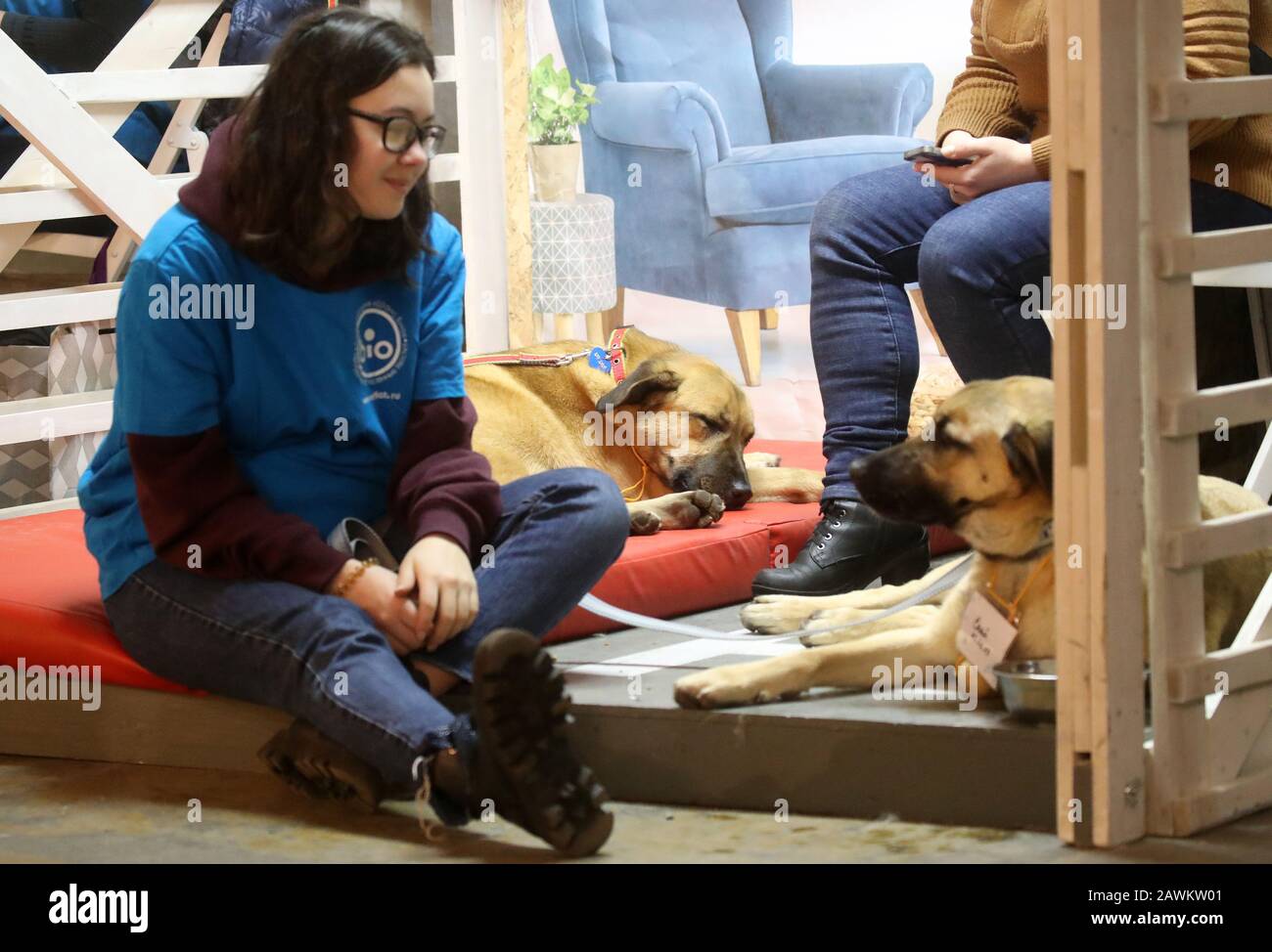 Pet Adoption Centre High Resolution Stock Photography And Images Alamy