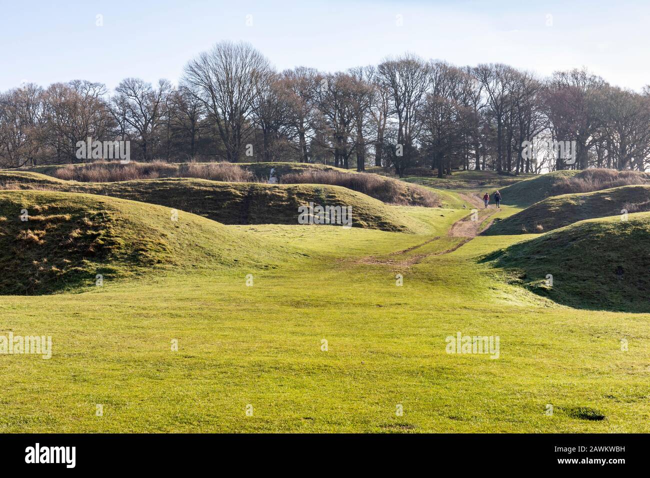 Badbury Rings - an Iron Age hill fort on the Kingston Lacey estate ...