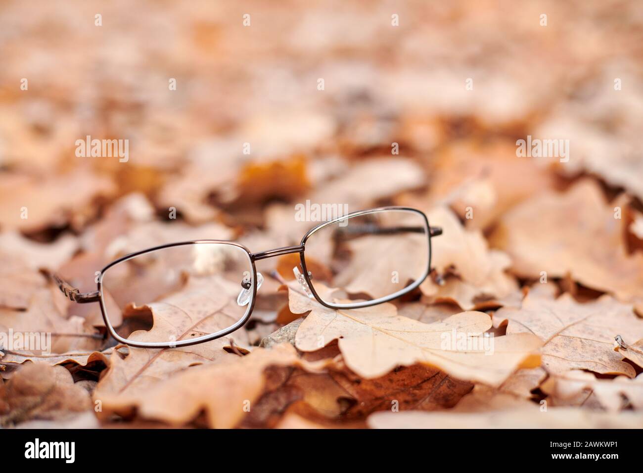 Glasses on autumn foliage. Lost glasses as symbol of sudden vision loss. Vitamin deficiency with