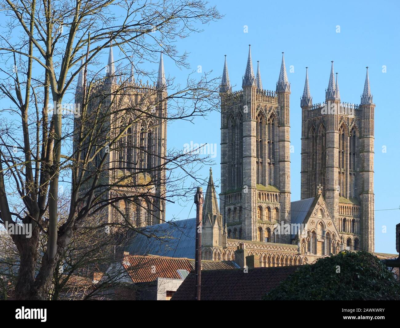 Looking across to the towers of Lincoln Cathedral on a bright sunny February winters day with a bare tree in the foreground Stock Photo