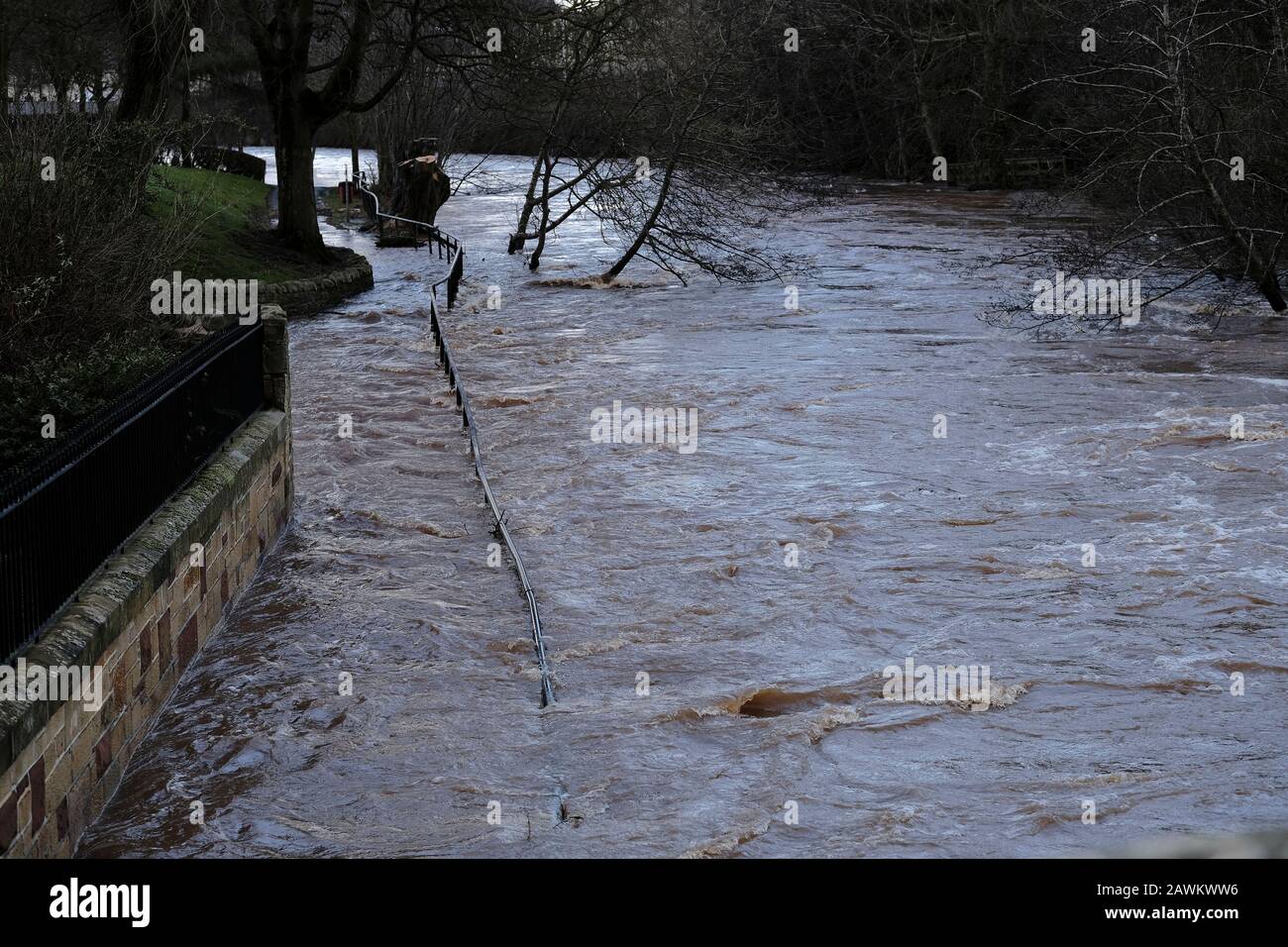 Jedburgh, UK. 09th Feb, 2020. Jedburgh, UK., . The River Teviot in Jedburgh, Scottish Borders on Sunday 09 February 2020 heavy overnight rains swell the river and cause localised problems ( Credit: Rob Gray/Alamy Live News Stock Photo