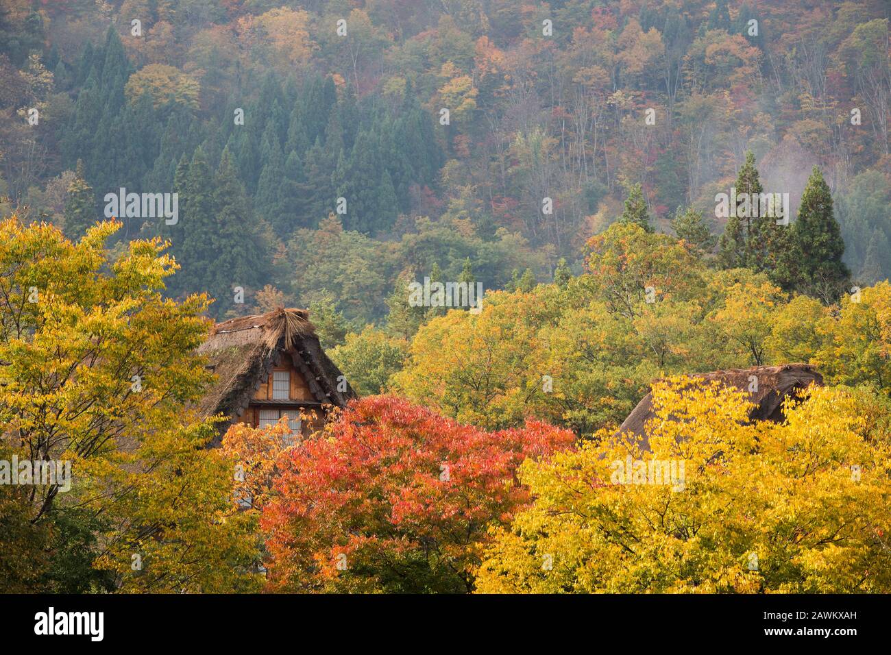 Typical ShirakawaGo house. Japan Stock Photo Alamy