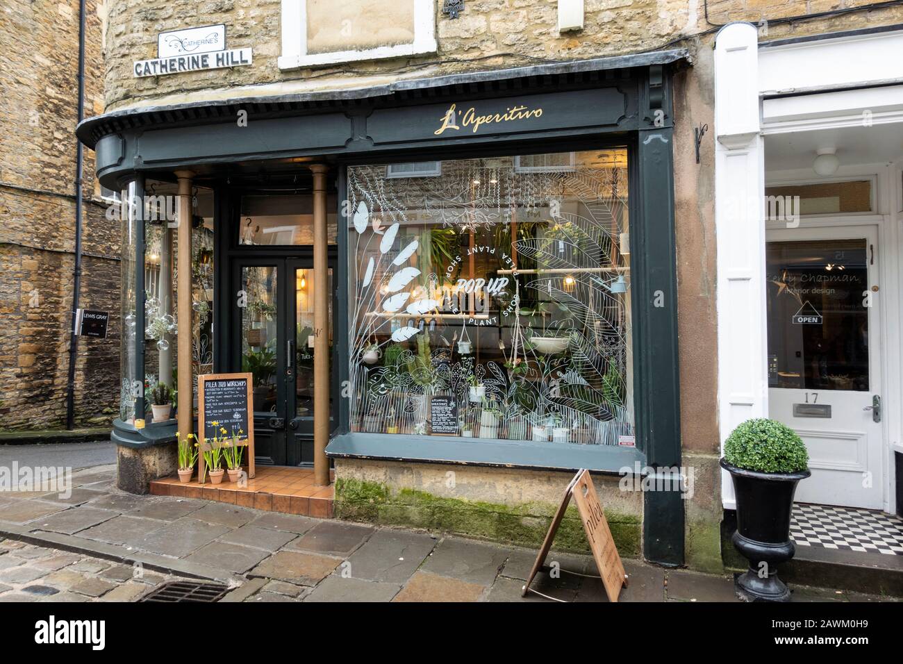 Pilea plant shop selling beautiful and more unusual houseplants in Catherine Hill, Frome, Somerset, England, UK Stock Photo