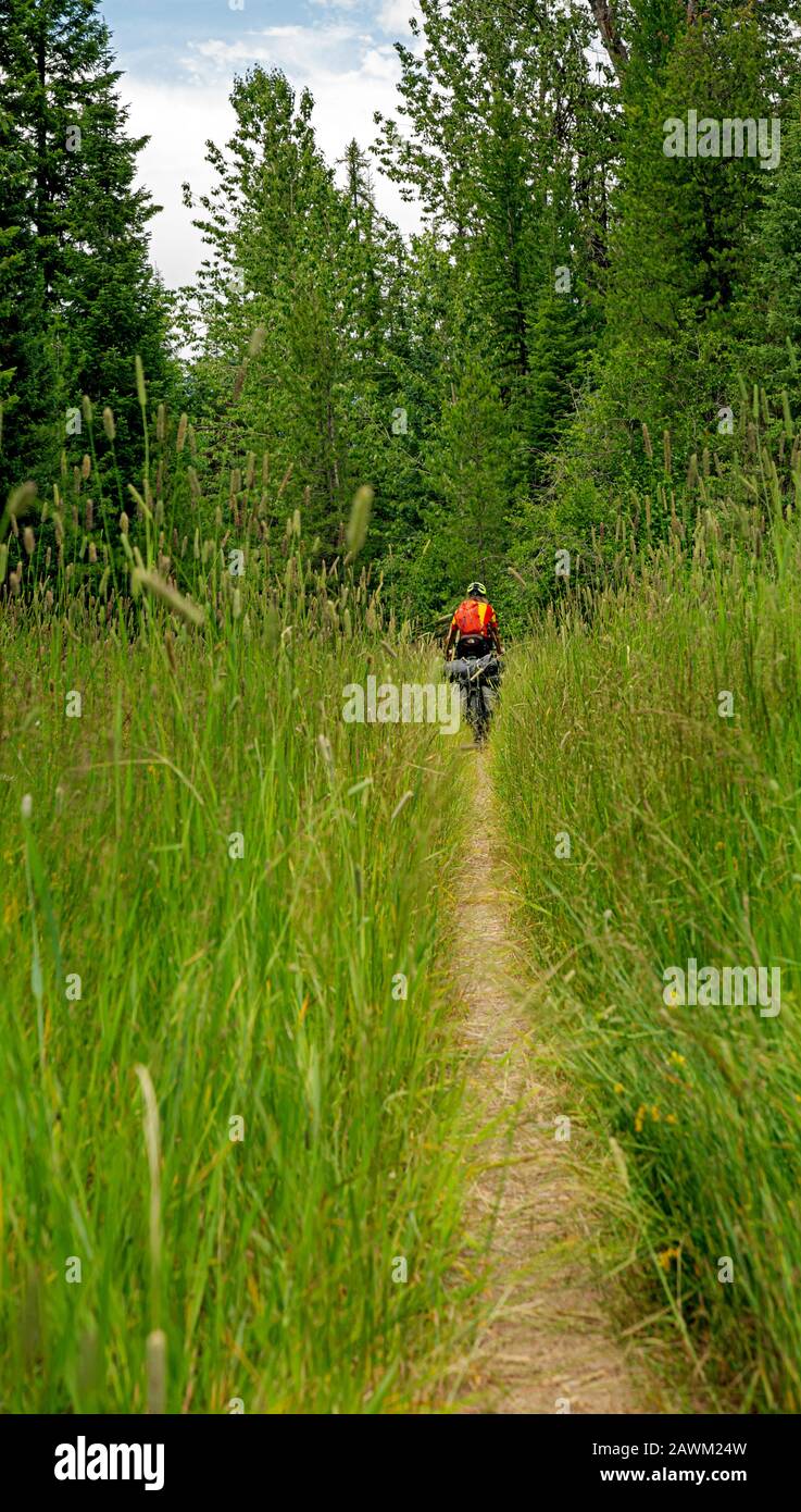 MT0047000...MONTANA Tom Kirkendall riding the narrow, grassy trail