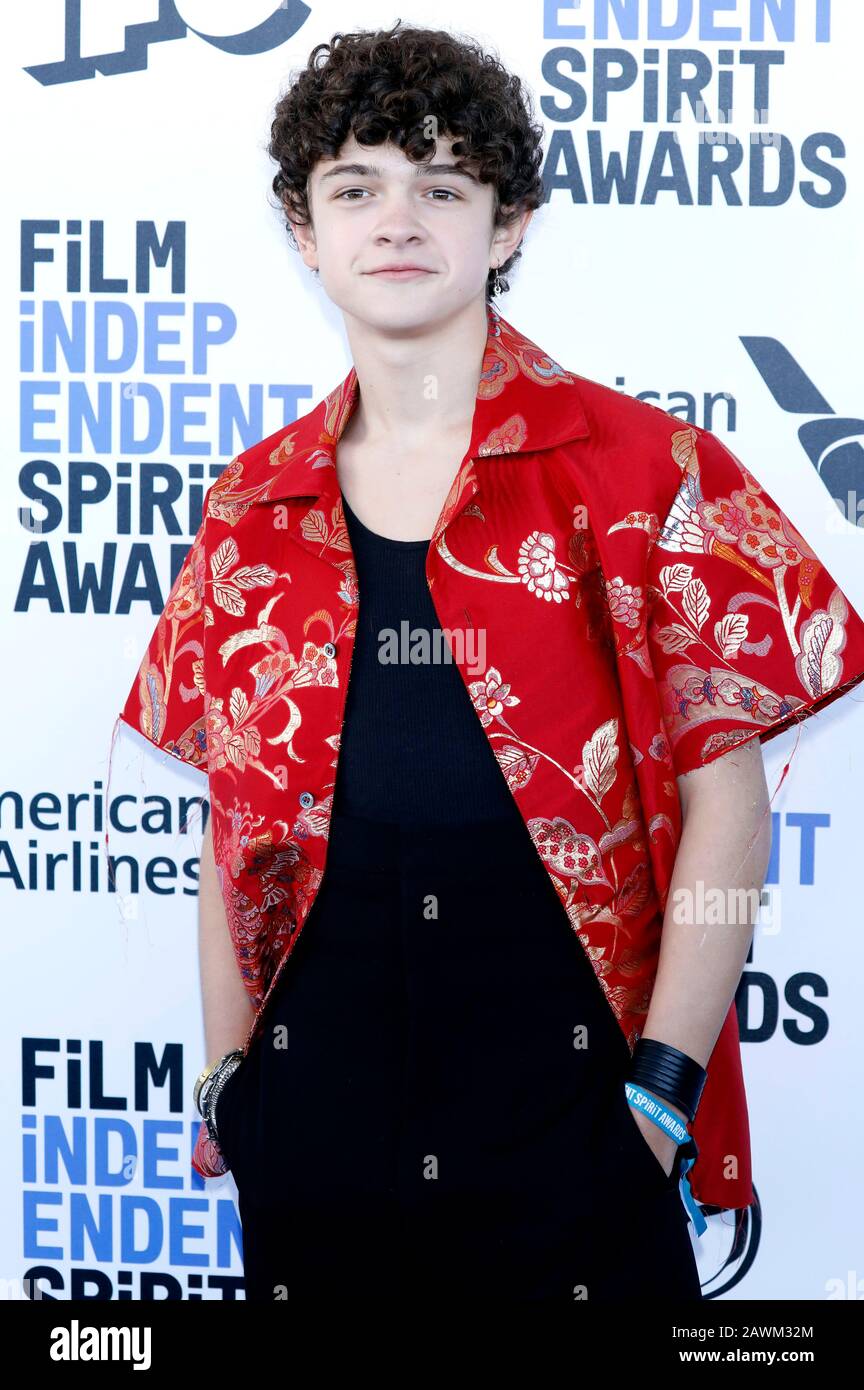 Santa Monica, Usa. 08th Feb, 2020. Noah Jupe At The 35th Film 