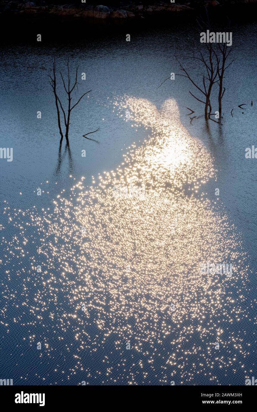 Silhouetted dead trees with reflection in water at dawn Stock Photo