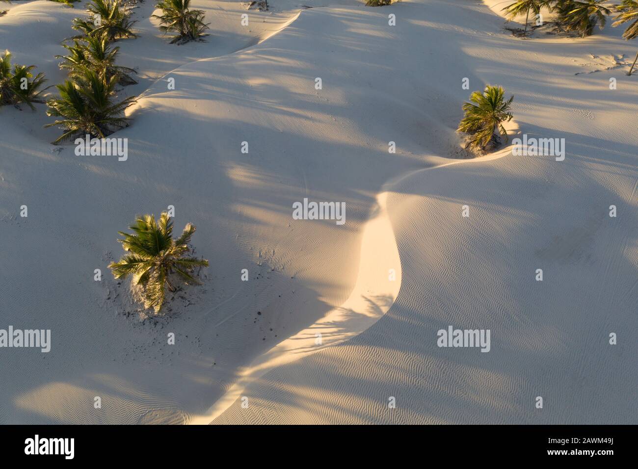 natural structures formed by the wind on the beach in brazil Stock Photo