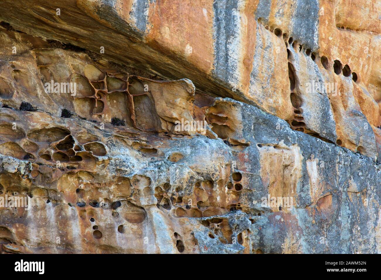 Erosion of rock face in the Cederberg Stock Photo