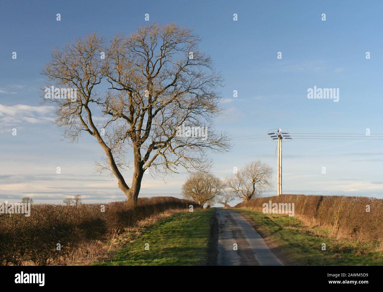 Yorkshire Wolds Stock Photo