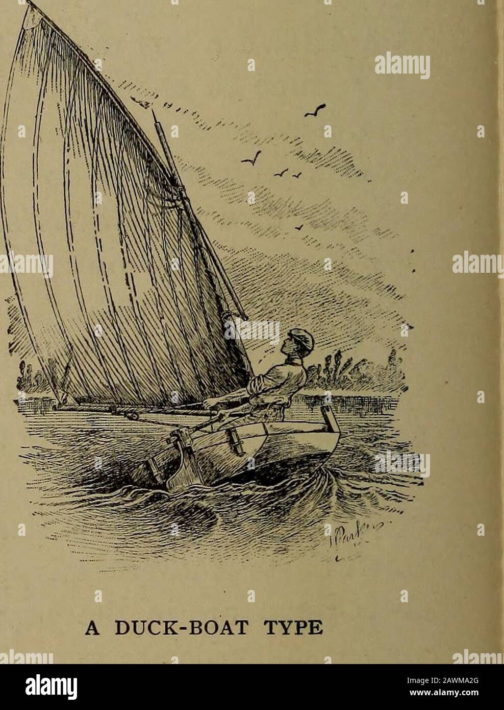 Harper S Boating Book For Boys A Guide To Motor Boating Sailing Canoeing And Rowing Lt St Lawrence Skiff With Fore And Aft Sail Elaborated And Altered To Meet The Different Conditions Re Quired Taking