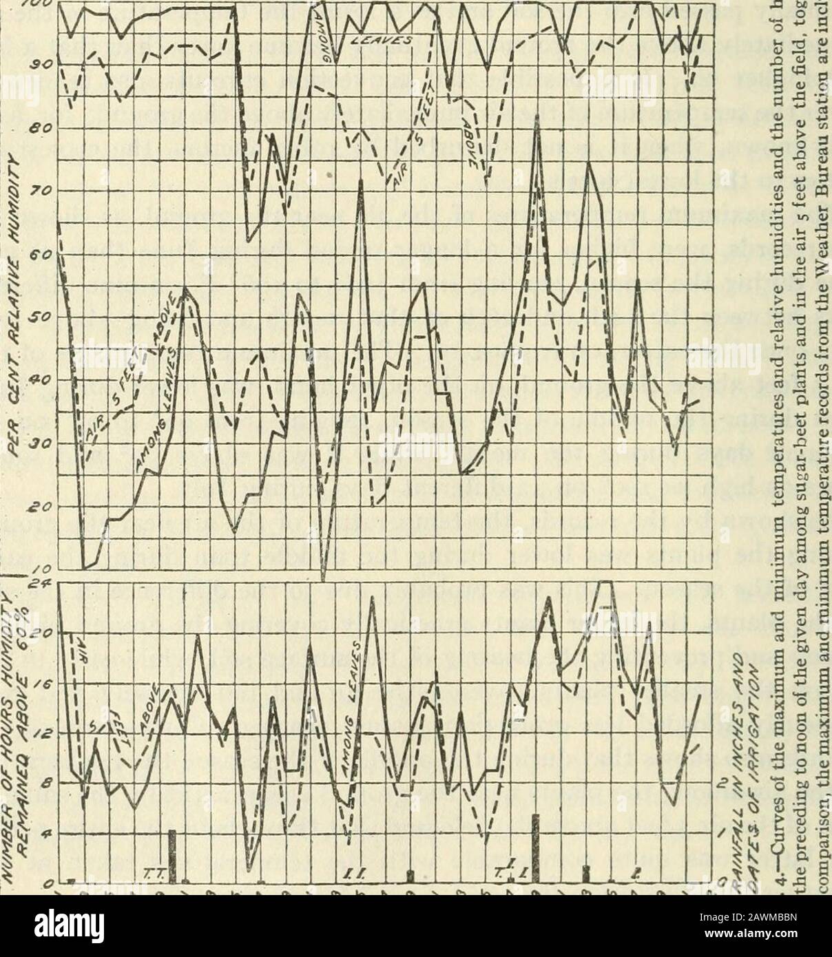 Journal of agricultural research . Apr. 3.1916 Climatic Conditions and Cercospora beticola 33 ture usually lower among the beet plants than the temperature shown bythe Weather Bureau records, which were taken on top of a four-storybuilding about a mile from the sugar-beet field. These wide variationsbetween the air temperature taken near the ground among the plantsand that taken 5 feet above the field and between the former and thetemperature taken at the Weather Bureau stations show that for correla-tion with fungous activities only the records taken among the plantsshould be used. Relative; Stock Photo