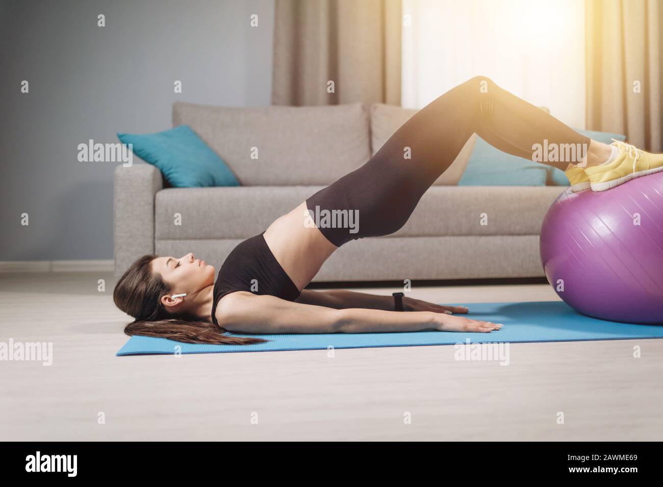 Young Brunette's Workout With a Fitness Ball Stock Photo