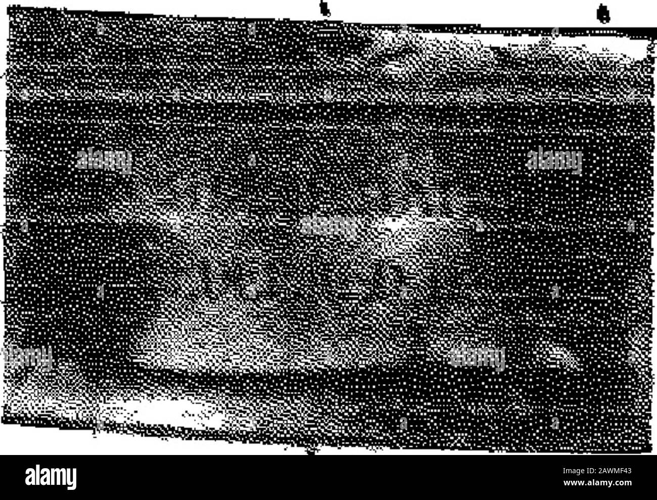 Ea O E High Resolution Stock Photography And Images Alamy