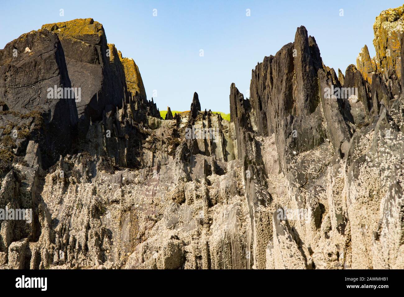 Rock formations along the rocky shores of Dumfries and Galloway near the village of Isle of Whithorn. Southwest Scotland UK GB Stock Photo