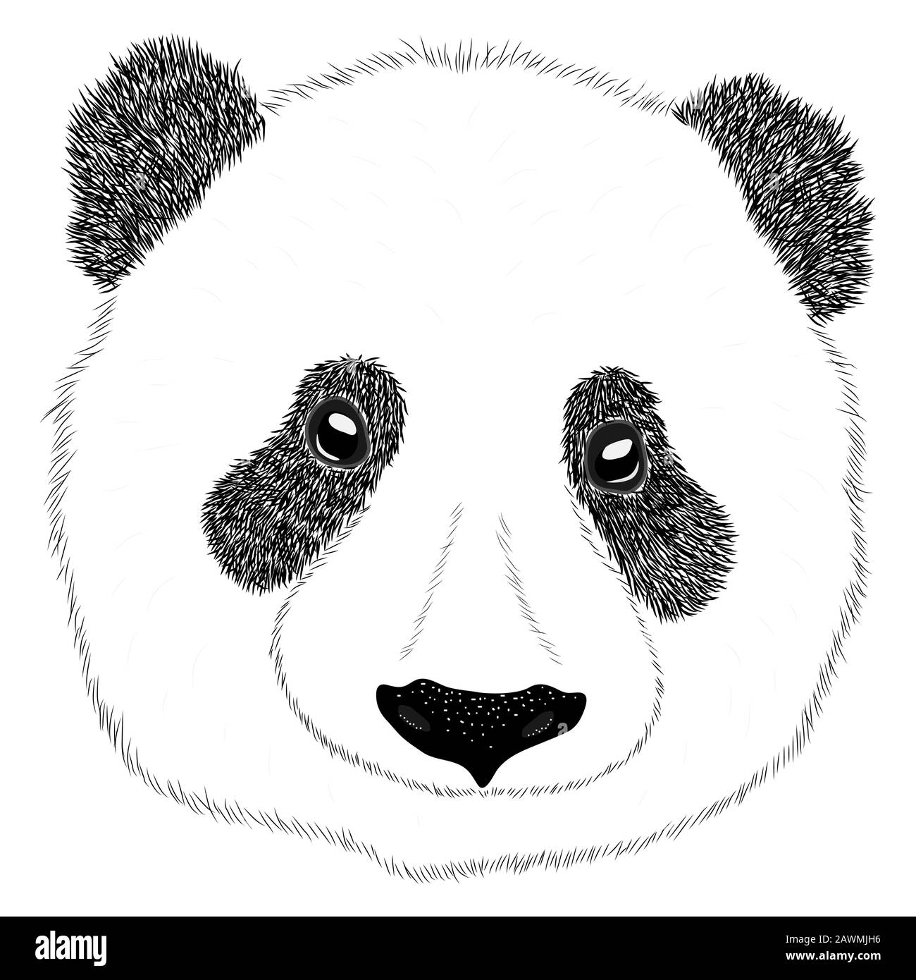 Panda animal cute face. Asian panda bear head portrait. Realistic fur ...